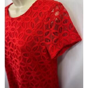 Red Lace Shift Dress by Chaus  - Size M